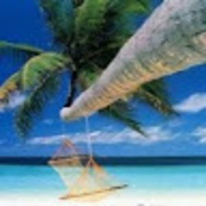 Meet your Posher, Yasmin